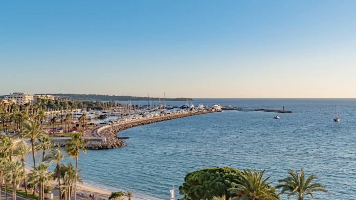 Sale Apartment Cannes 270.05&nbsp;m²