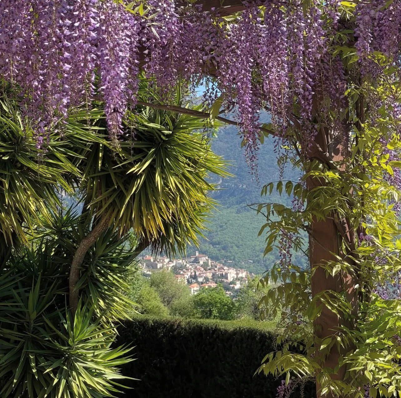 house 6 Rooms for sale on Valbonne (06560)