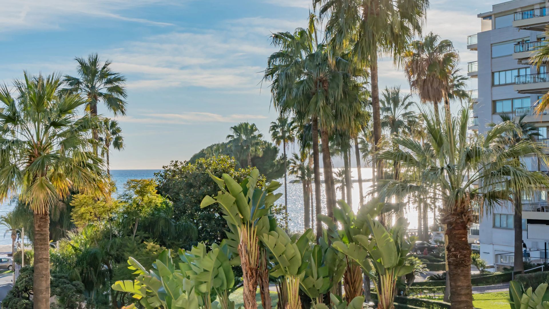 apartment 3 Rooms for sale on Cannes (06400)