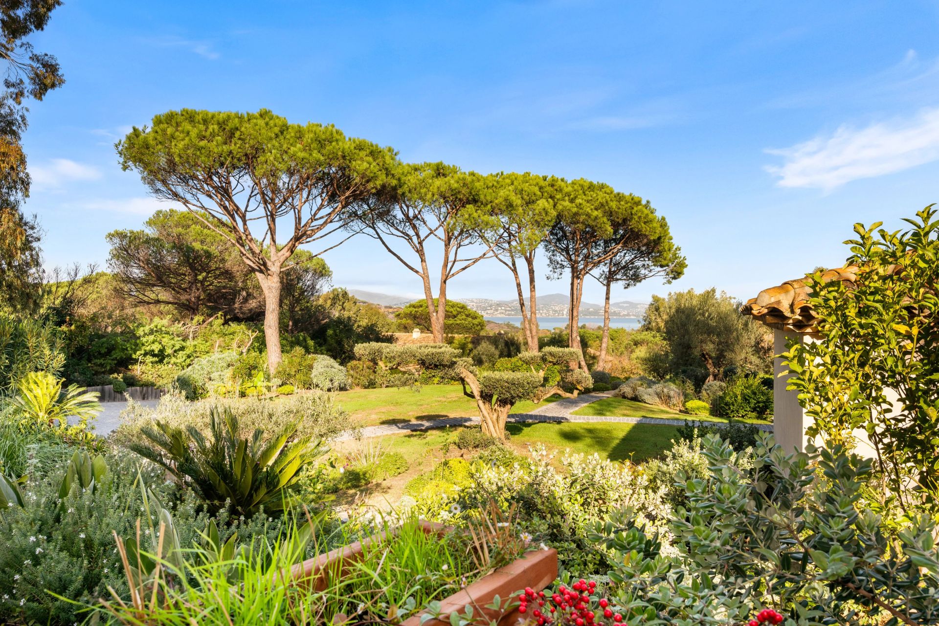villa en vente sur Saint-Tropez (83990)