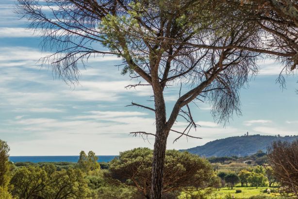 Location saisonnière Villa Ramatuelle 8&nbsp;Pièces 300&nbsp;m²