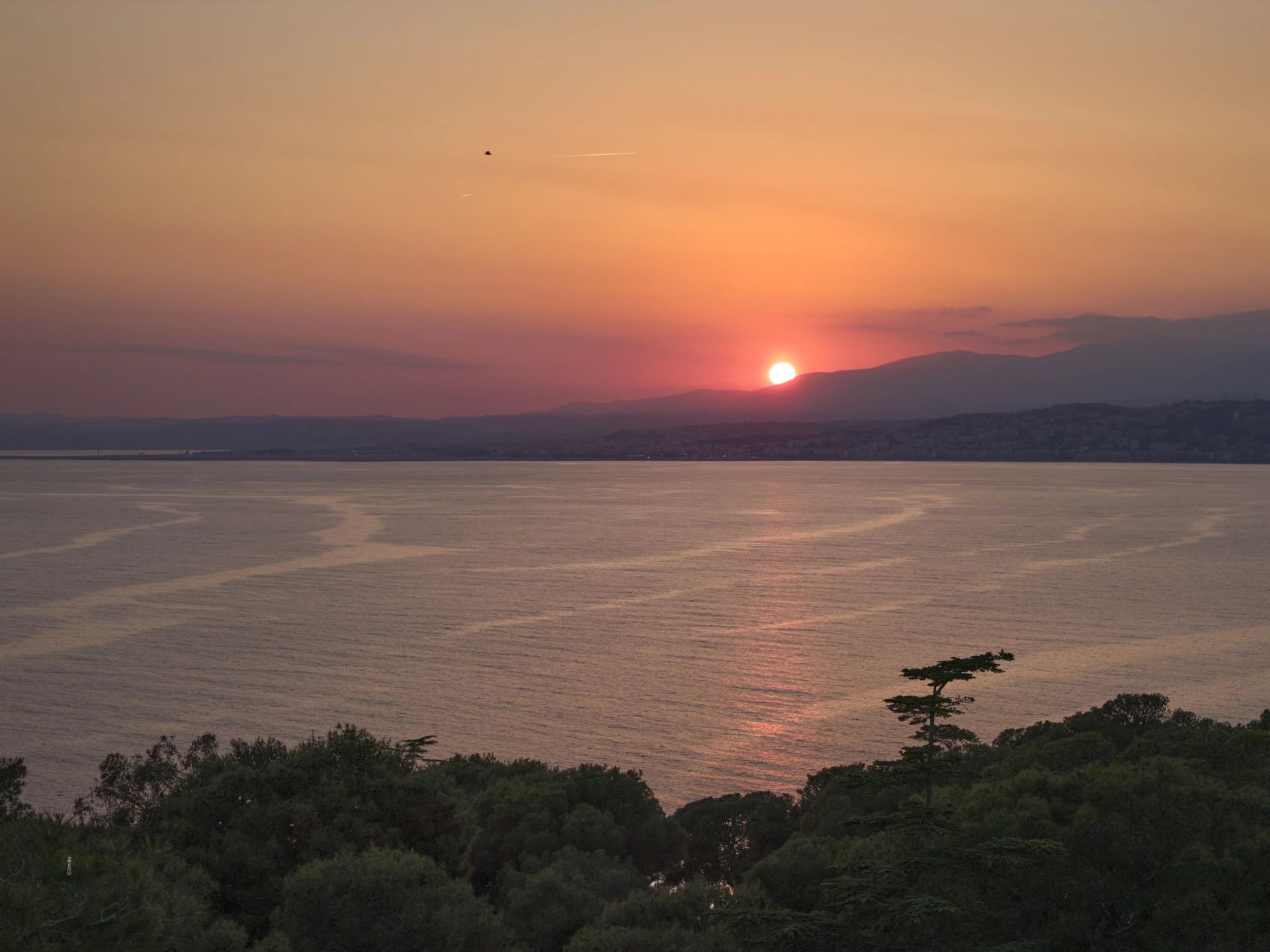 villa 10 Pièces en vente sur Saint-Jean-Cap-Ferrat (06230)