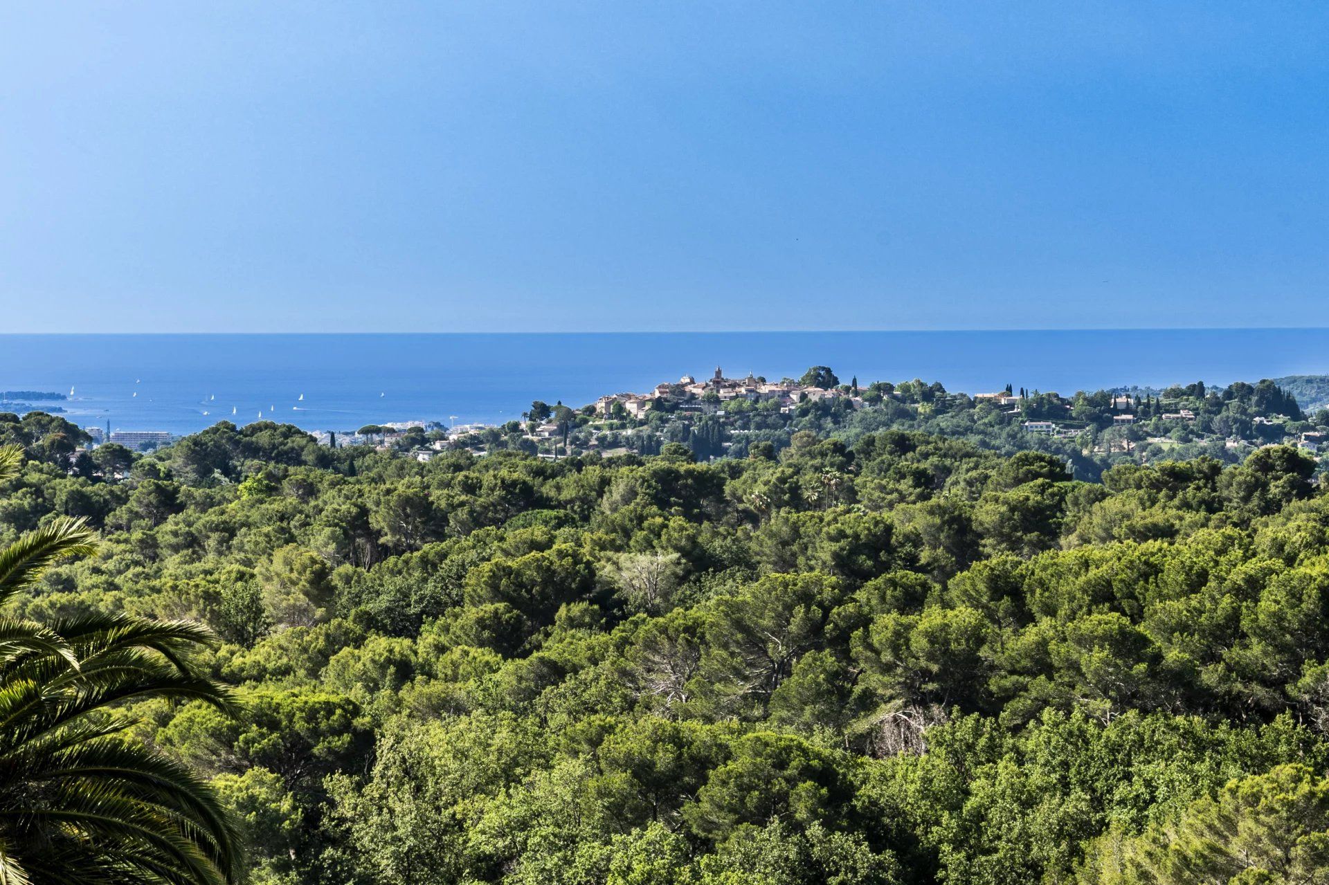 villa 6 Pièces en vente sur Valbonne (06560)