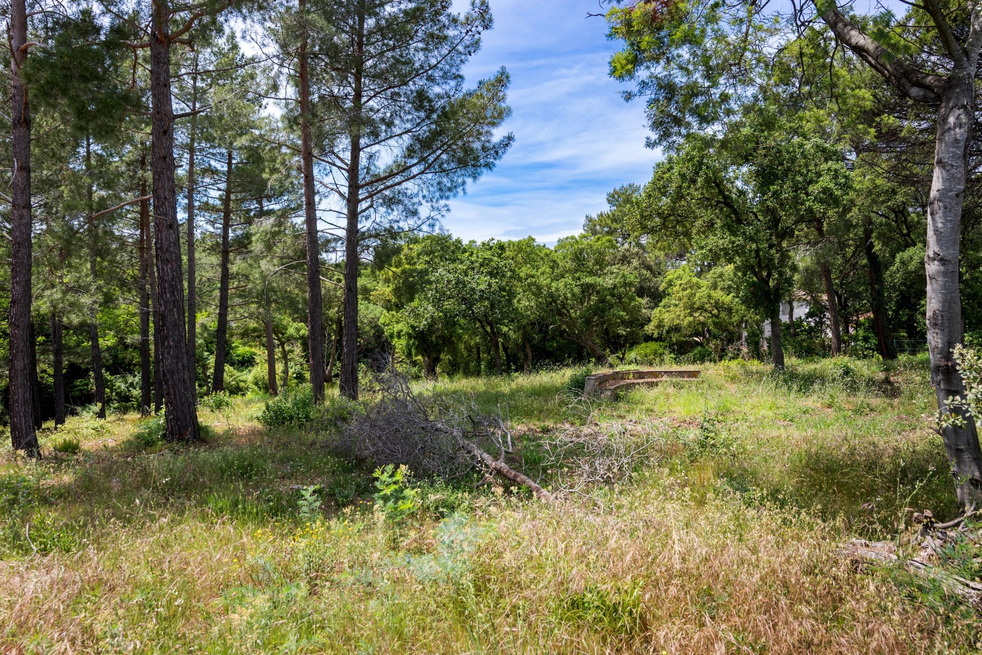 Sale Buildable land Grimaud 3221&nbsp;m²