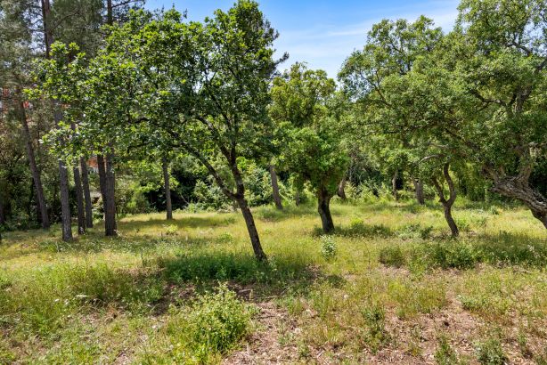 Vente Terrain à bâtir Grimaud 3221&nbsp;m²