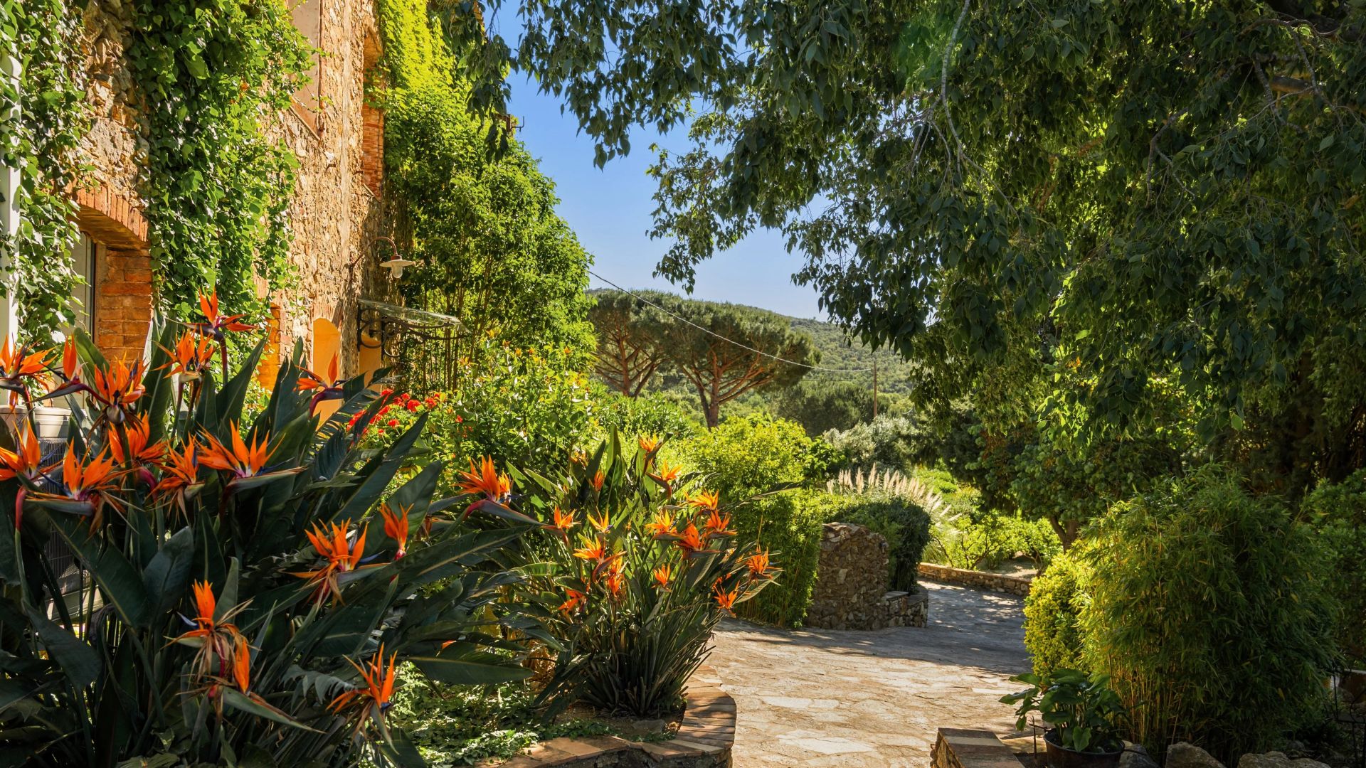 villa 16 Pièces en vente sur Sainte-Maxime (83120)
