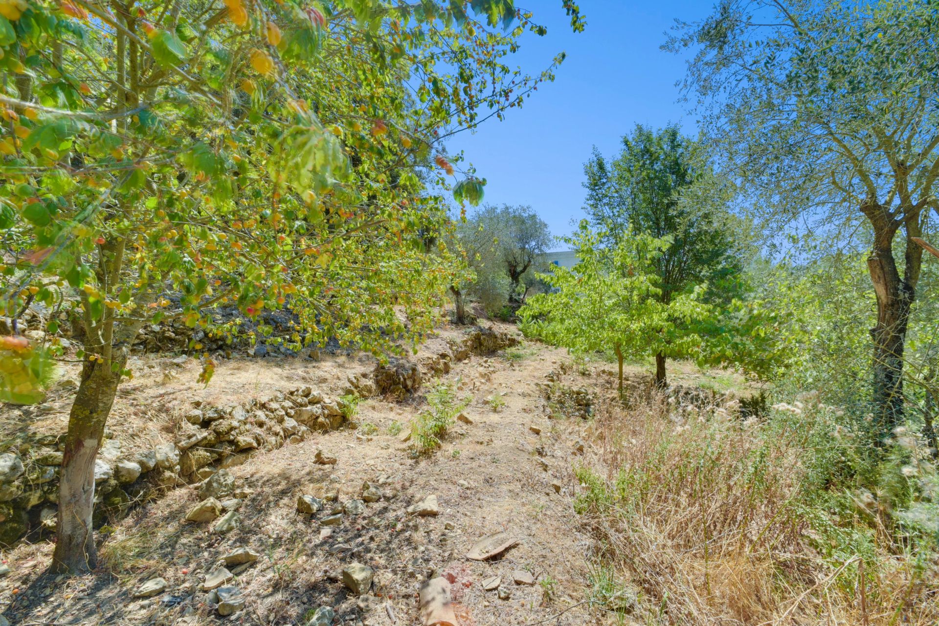 villa 4 Pièces en vente sur La Turbie (06320)
