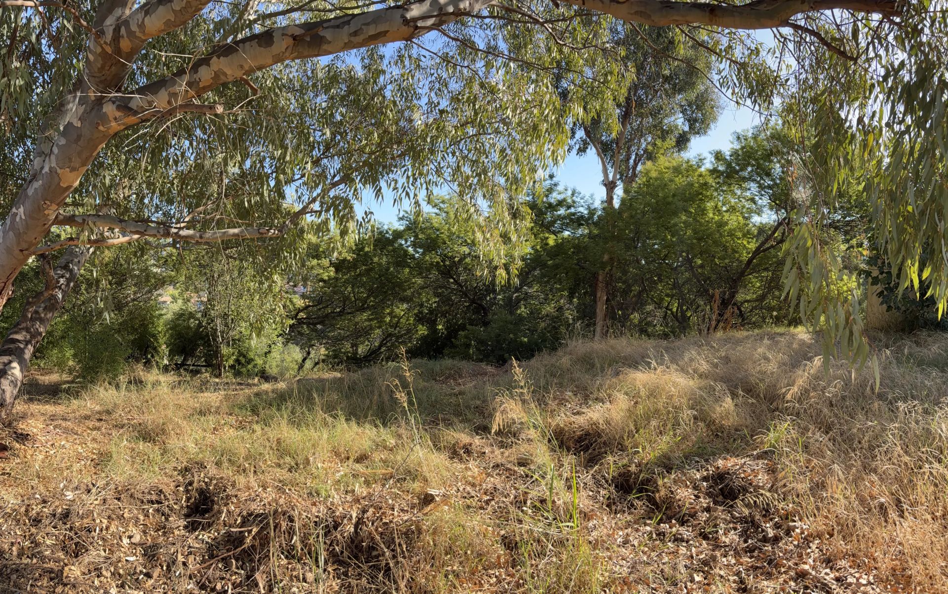 buildable land for sale on Cannes (06400)