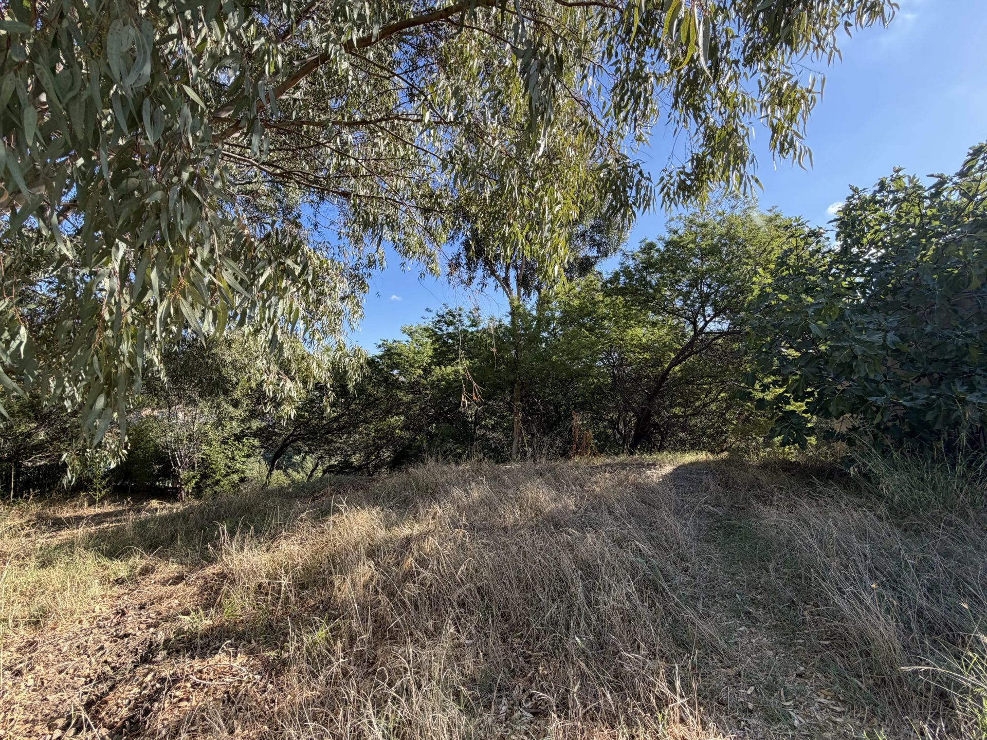 buildable land for sale on Cannes (06400)
