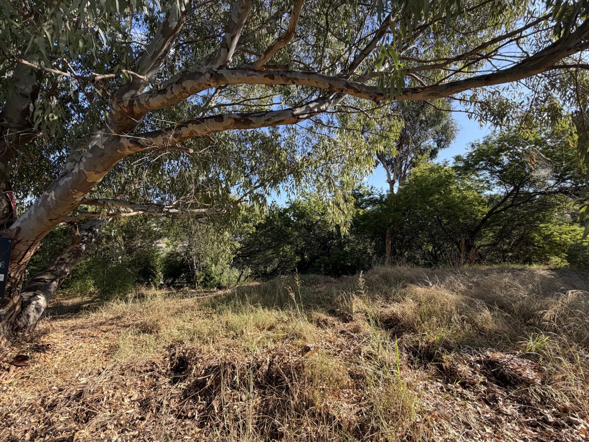 buildable land for sale on Cannes (06400)