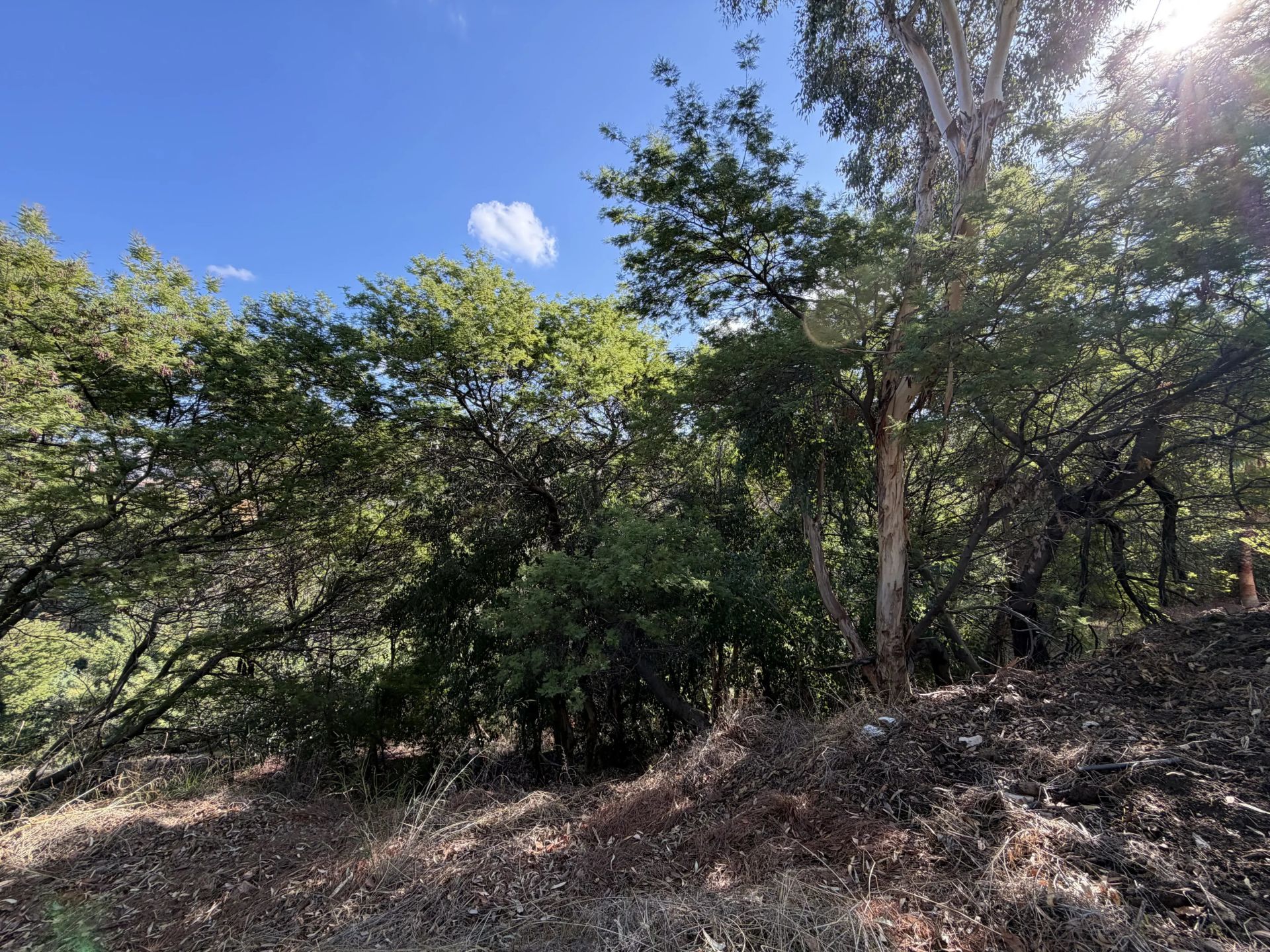 buildable land for sale on Cannes (06400)