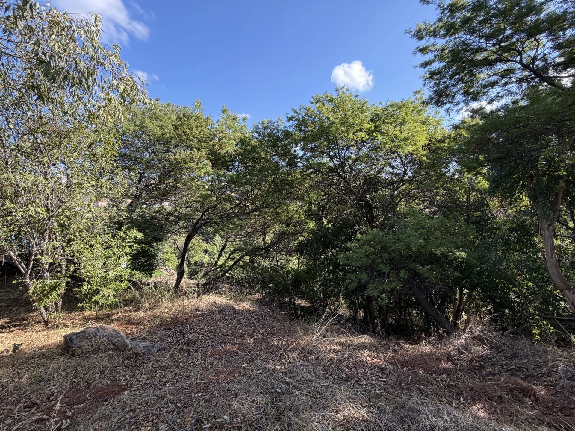 buildable land for sale on Cannes (06400)