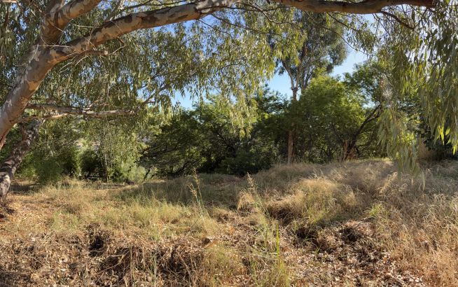 Sale Buildable land Cannes 1879&nbsp;m²
