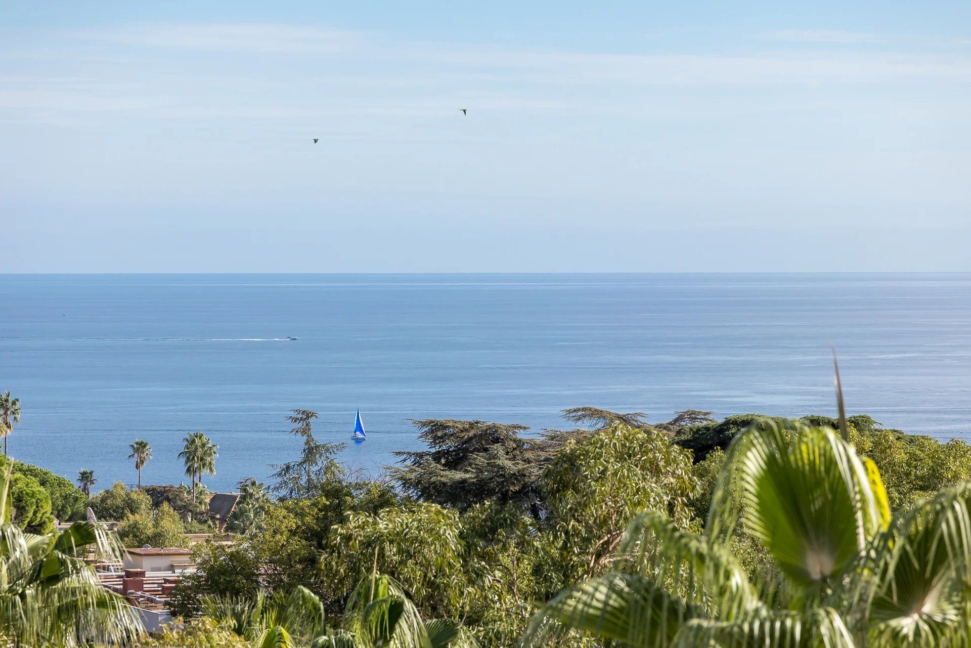appartement 7 Pièces en vente sur Cannes (06400)