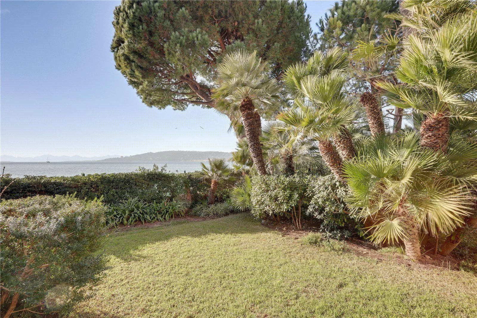 apartment 3 Rooms for seasonal rent on Antibes (06160)