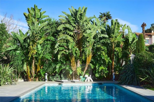 Rental Villa Antibes 7&nbsp;Rooms 220&nbsp;m²