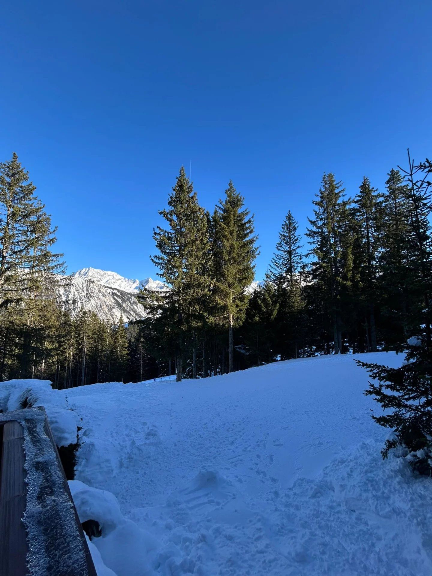 apartment 5 Rooms for seasonal rent on Courchevel (73120)