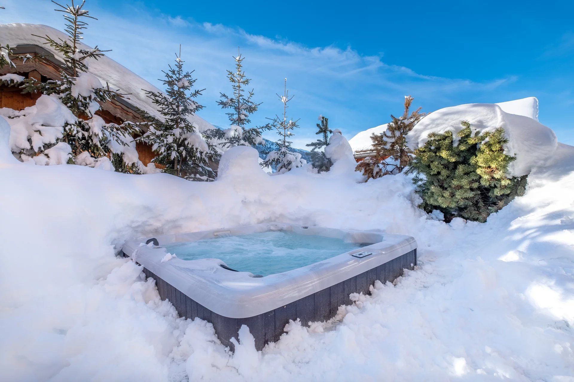 Vente Chalet Méribel 305 m²