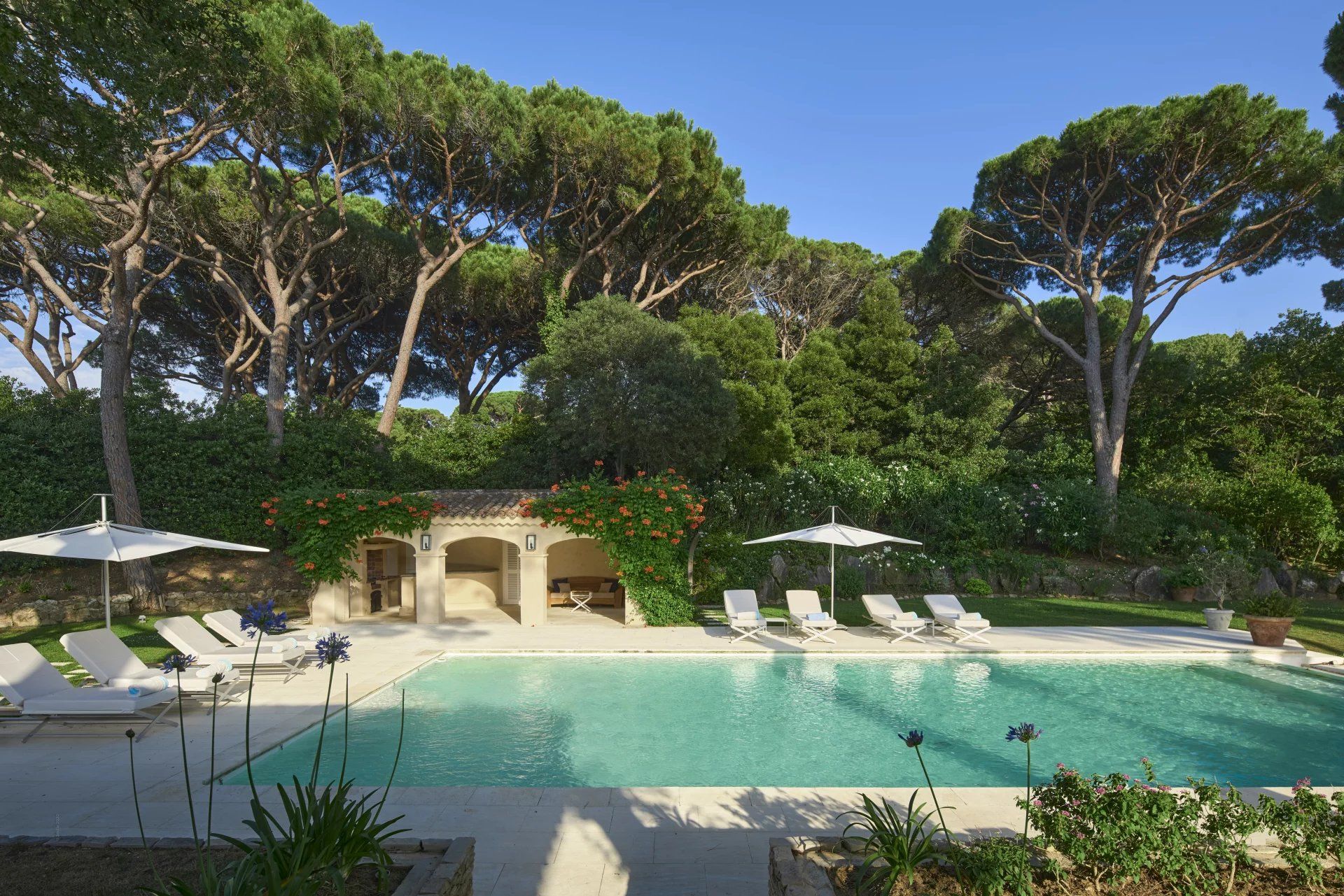 villa 7 Rooms for seasonal rent on Gassin (83580)