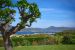 Location saisonnière Villa Saint-Tropez 9 Pièces 500 m²