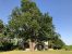 Sale Villa Fox-Amphoux 10 Rooms 308 m²