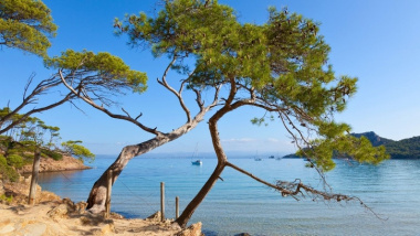 Cap d'Antibes: why International buyers choose this exceptional peninsula