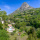 Vence
